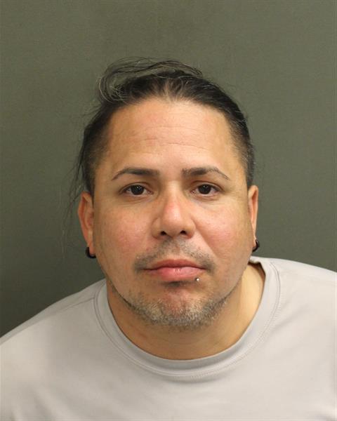  LUIS MANUEL FRATICELLIALICEA Mugshot / County Arrests / Orange County Arrests
