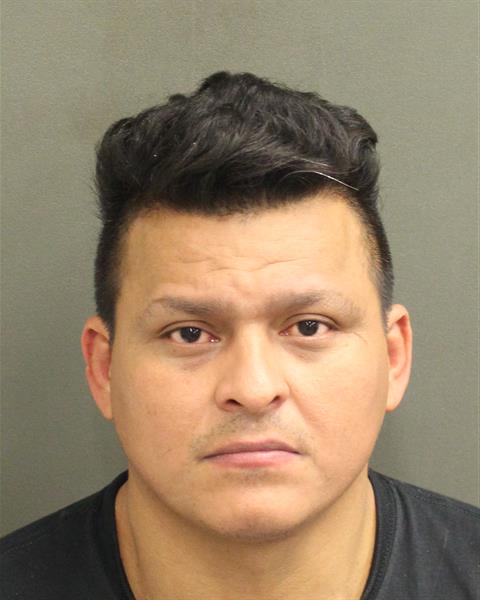  RAMONALBERTO YANEZVILLEGAS Mugshot / County Arrests / Orange County Arrests