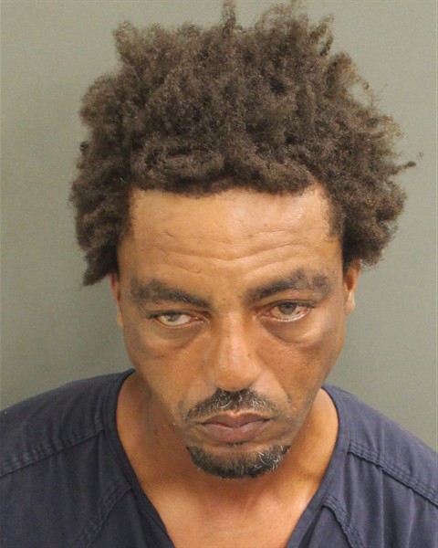  ROBERT HOLLIS Mugshot / County Arrests / Orange County Arrests
