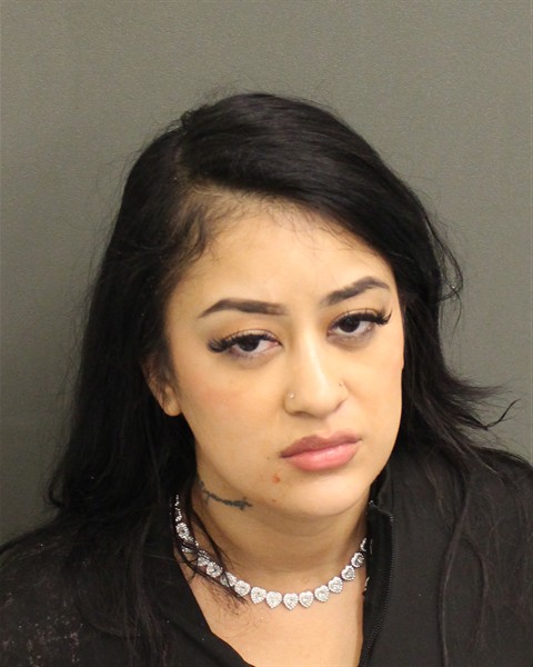  ELSIE ROSEMARY MANZANO Mugshot / County Arrests / Orange County Arrests