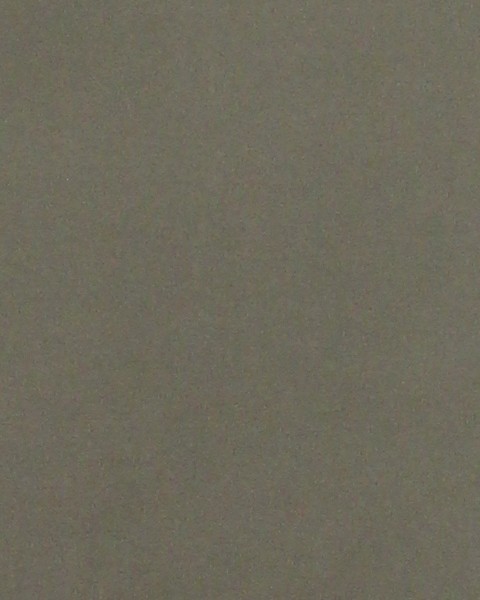  JOSE EDUARDO RODRIGUEZ Photo Image