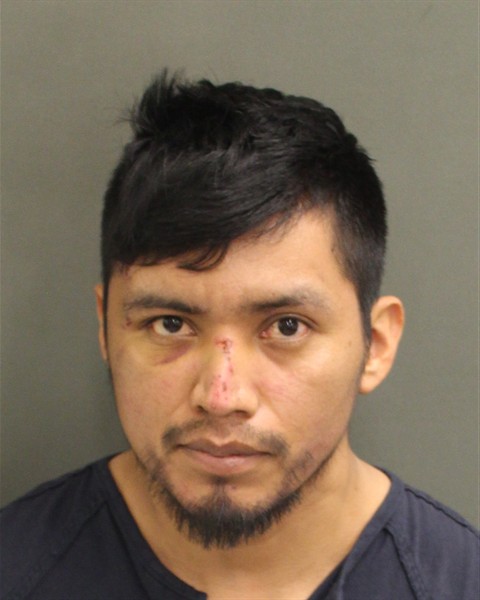  RIGOBERTO DELACRUZFLORES Photo Image