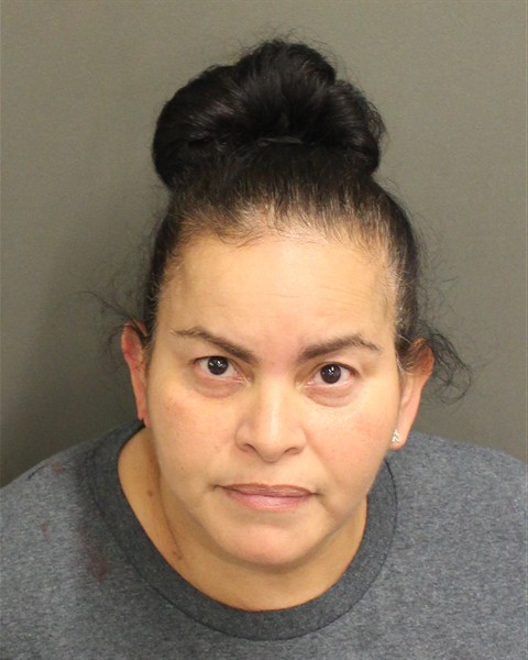  VIVIANA NARVAEZ Mugshot / County Arrests / Orange County Arrests