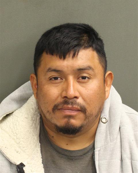  VIELMAN ISMAEL PEREZOROZCO Photo Image