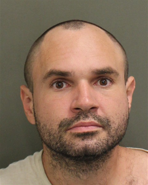  JAMES LEVI MICHAEL Mugshot / County Arrests / Orange County Arrests