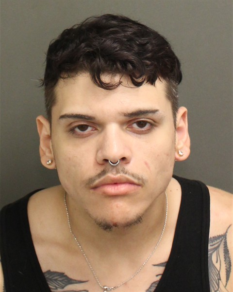  ENRIQUE ISMAEL RIVERA Mugshot / County Arrests / Orange County Arrests