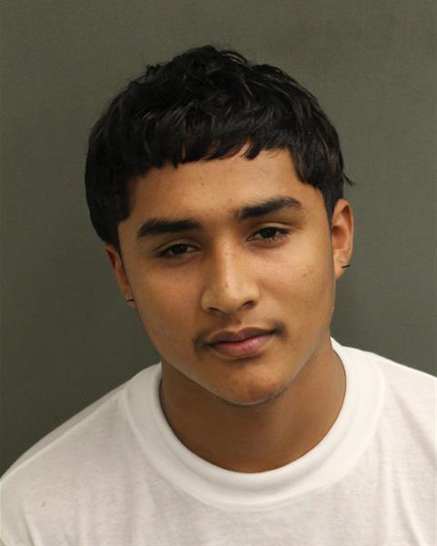  MARIO ALEXANDER VARELAGODINEZ Photo Image