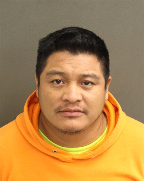  EDGAR NOE MATEOFELIPE Photo Image