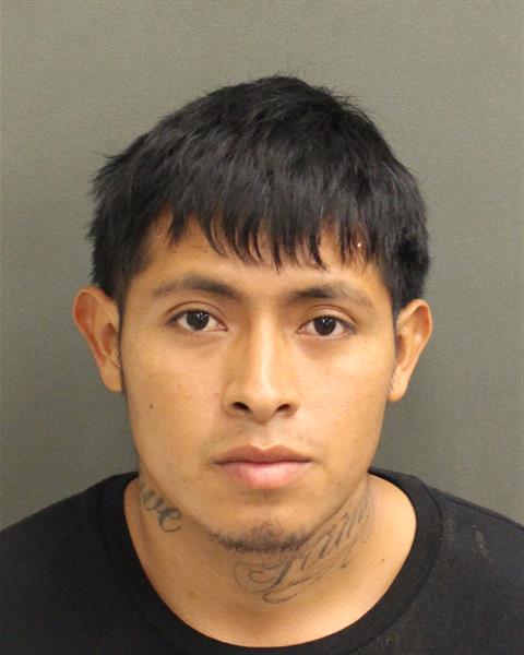  GERARDO MATEOCALEL Photo Image