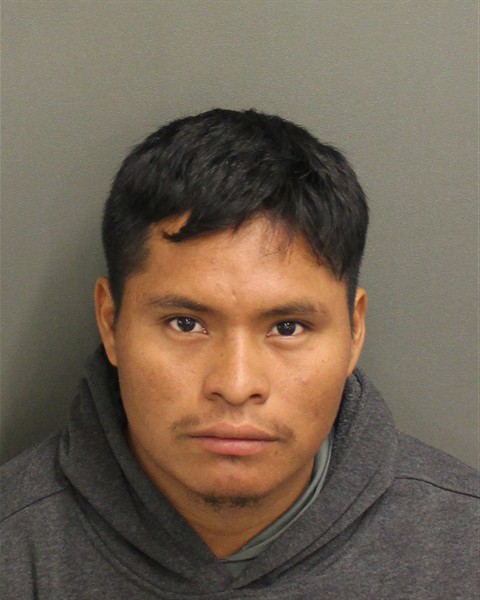  FERNANDO PEREZVENTURA Photo Image