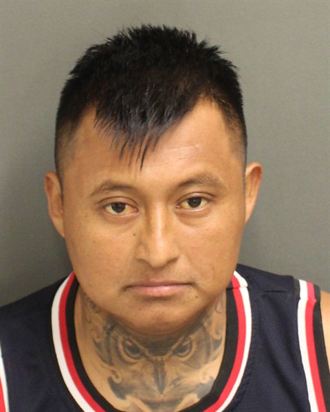  IVAN DELUNAPONCE Photo Image