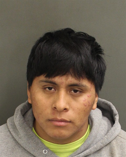  EDY ALEXANDER LOPEZMENDEZ Photo Image