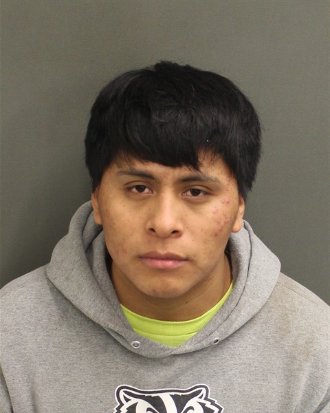  EDY ALEXANDER LOPEZMENDEZ Photo Image