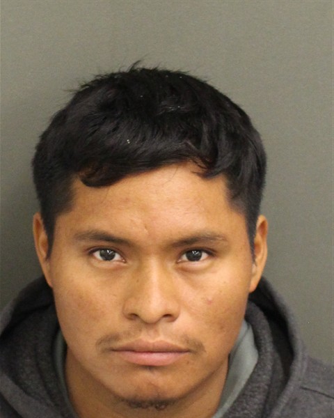  FERNANDO PEREZVENTURA Photo Image