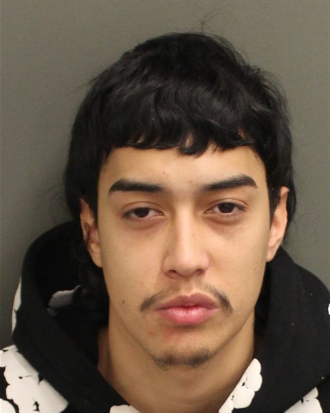  ALAN SANTIAGO MARTINEZMESTIZO Photo Image