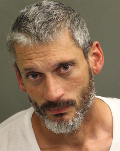  DAVID WILLIAM KLEIN Photo Image