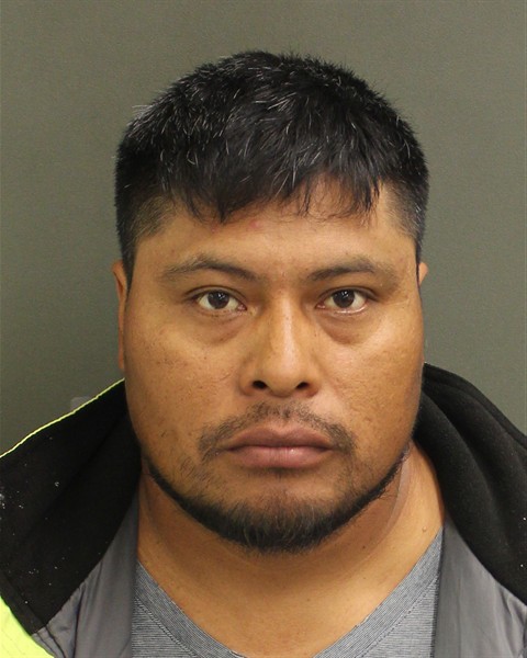  MAGNOLIO AMBROCIO LOPEZVASQUEZ Photo Image