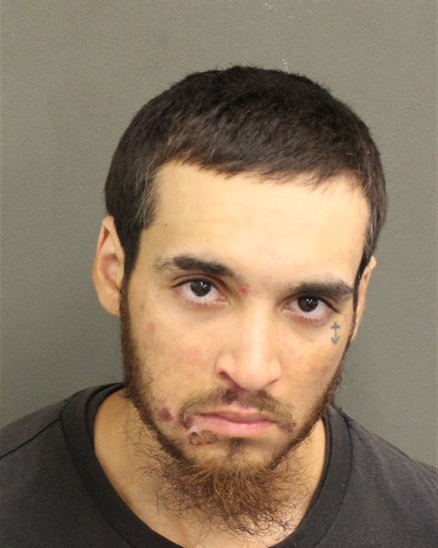  LOUIS ANTHONY ORTIZ Mugshot / County Arrests / Orange County Arrests