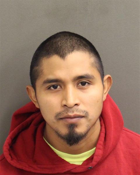  ELIVER LUIS MARTINEZPEREZ Photo Image