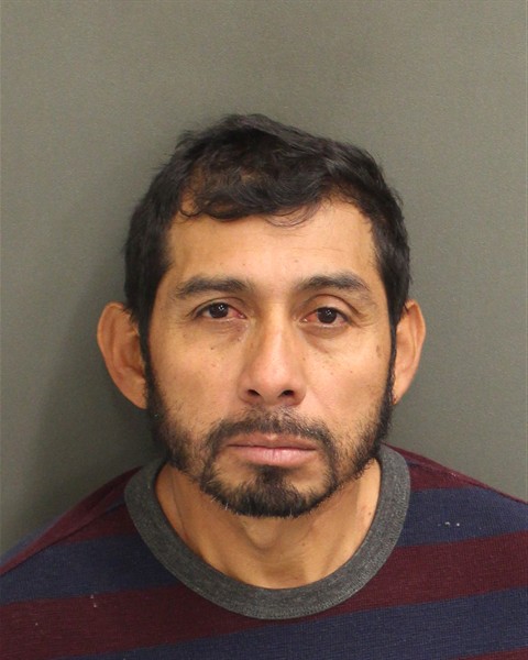  VERGARA NOE ARENAS Photo Image