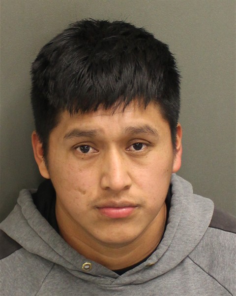 EDIN JEOVANY HERNANDEZGOMEZ Mugshot / County Arrests / Orange County Arrests