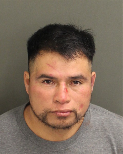  FERNANDO GUITIERREZ Mugshot / County Arrests / Orange County Arrests