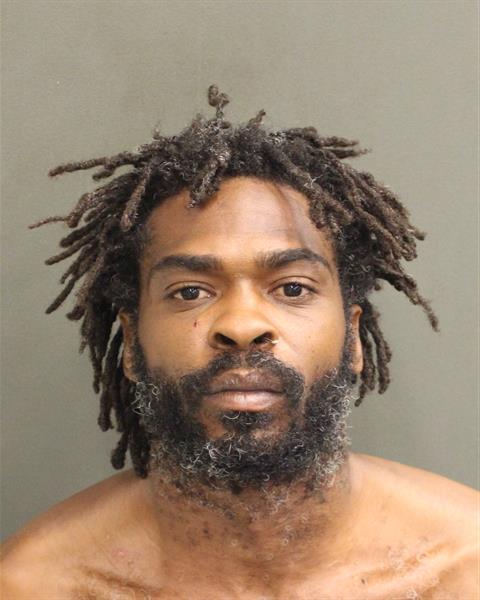  THEO SEAN PETERSON Mugshot / County Arrests / Orange County Arrests