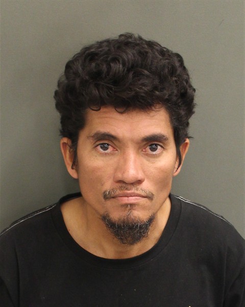  SANTOS ANTONIO ARIASMOLINA Mugshot / County Arrests / Orange County Arrests