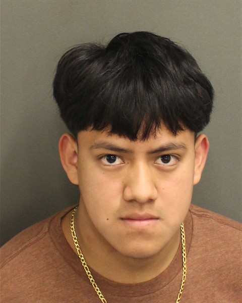 HERSSON ISAI CINTOGONZALEZ Mugshot / County Arrests / Orange County Arrests
