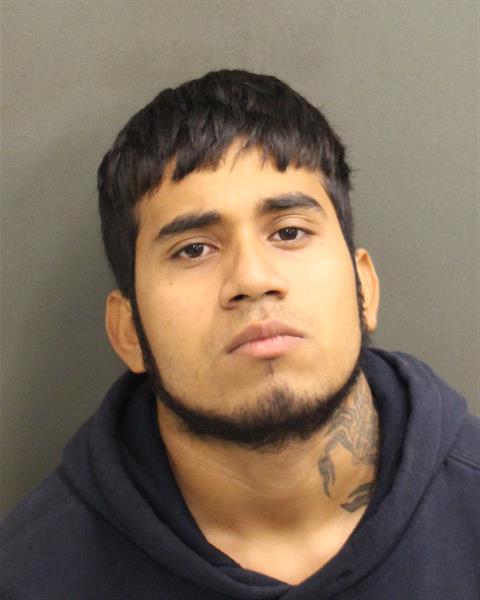  VICTOR FRANZUA BOLANOSUMANA Mugshot / County Arrests / Orange County Arrests