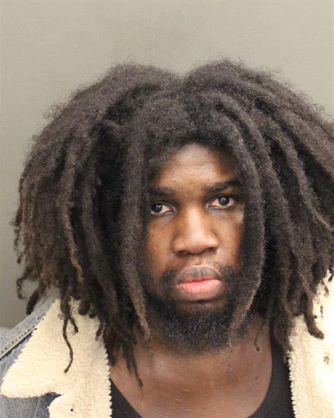  MICHAELANGEL LEO PIERRE Mugshot / County Arrests / Orange County Arrests