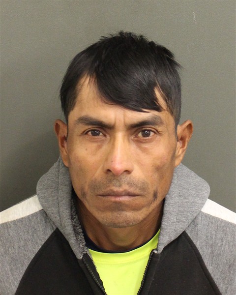  DELFIDIO RAMOSAMBROCIO Photo Image