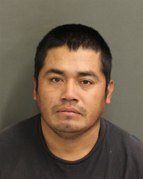  JUAN ANTONIO SURIANOLEMUS Photo Image