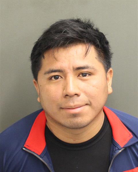  JAIME ARIEL CHOC XOLQ Photo Image