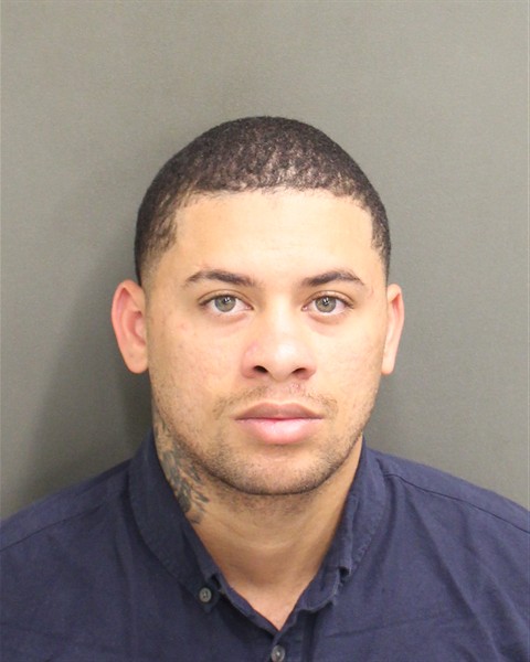  WILLIAMS LEANDRO ORTEGAMEIRELES Mugshot / County Arrests / Orange County Arrests