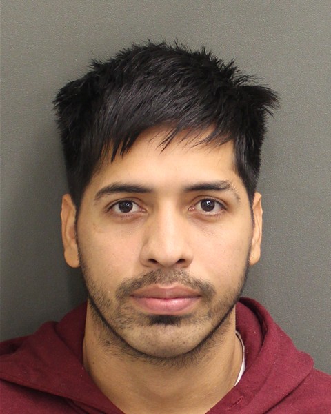  RAULIN ALEJAMDRO MEDINAROMERO Photo Image