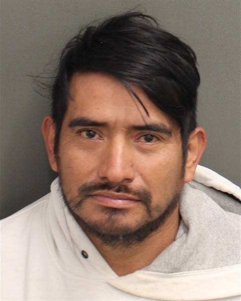  ROMEO RAMIREZDOMINGO Photo Image