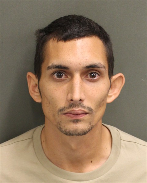  CRISTIAN JULIO DELAVEGAALFARO Photo Image