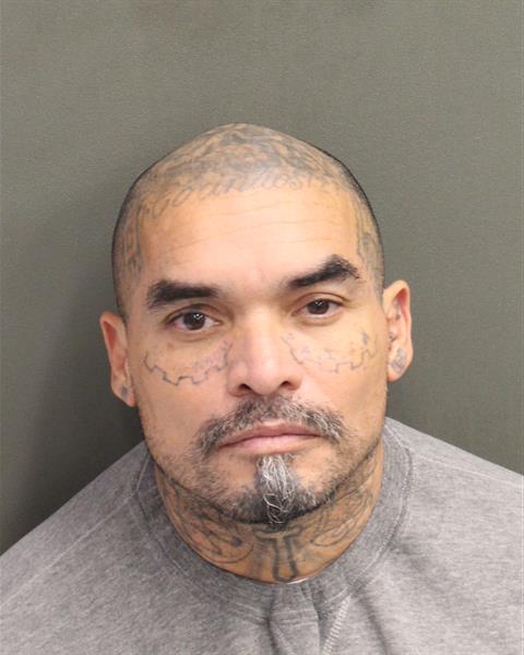  MARTIN RIOSARIAS Photo Image