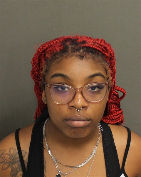  DANIELA ARTESE ANSELME Mugshot / County Arrests / Orange County Arrests