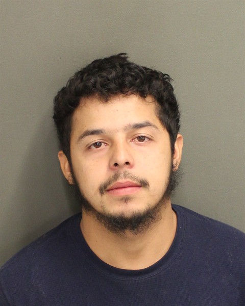  SAVIER ISAI SUAZOSOLER Mugshot / County Arrests / Orange County Arrests