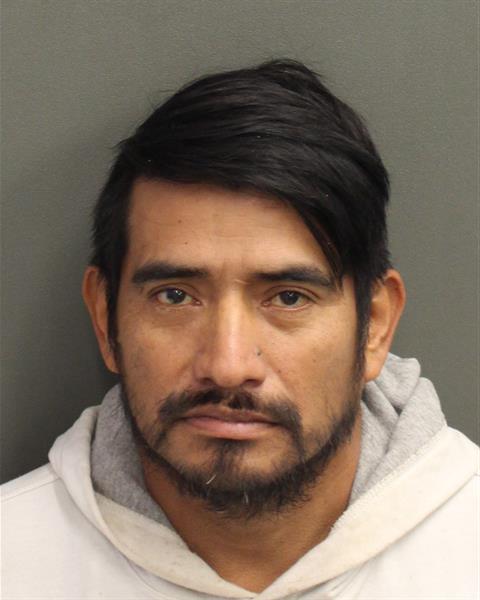  ROMEO RAMIREZDOMINGO Photo Image