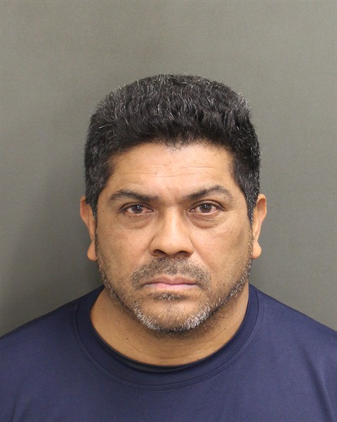  SILVESTRE FACTORFLORES Photo Image