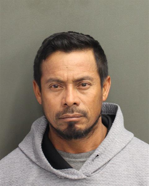  REUILLIO OLVERACONTRERAS Photo Image