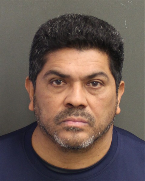  SILVESTRE FACTORFLORES Photo Image