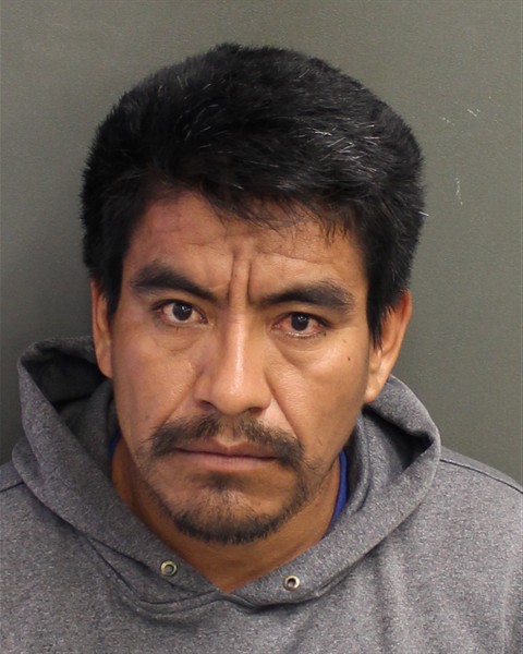  LEONOR VASQUEZLUIS Photo Image