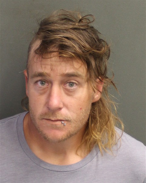  DANIEL LAWRENCE BROWN Mugshot / County Arrests / Orange County Arrests