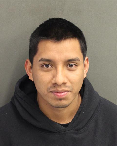  OBED HERMELINDO DOMINGOHERNANDEZ Photo Image