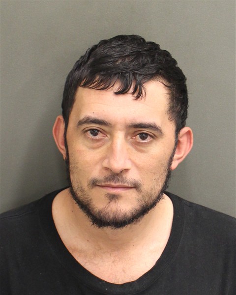  JUAN RUBEN LEPEALVAREZ Mugshot / County Arrests / Orange County Arrests