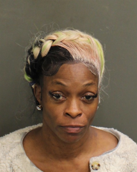  ERICA VON COBBINS Mugshot / County Arrests / Orange County Arrests